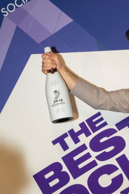 compressed-The-Best-Social-Awards-emielhornman.photo-500.jpg