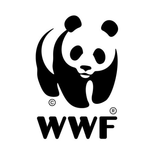 WNF