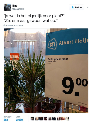 Bas Klaassen