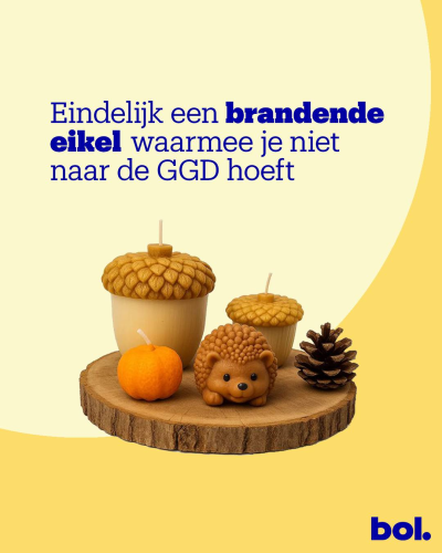DEPT® x bol – Eikel
