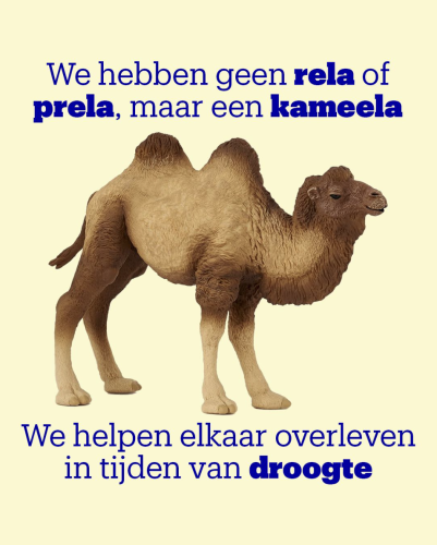 DEPT® x Frank van Rossum x bol – Kameela