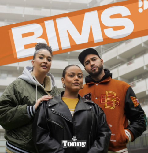 BIMS