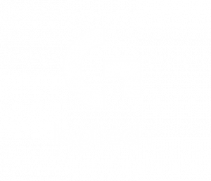 Sponsor: